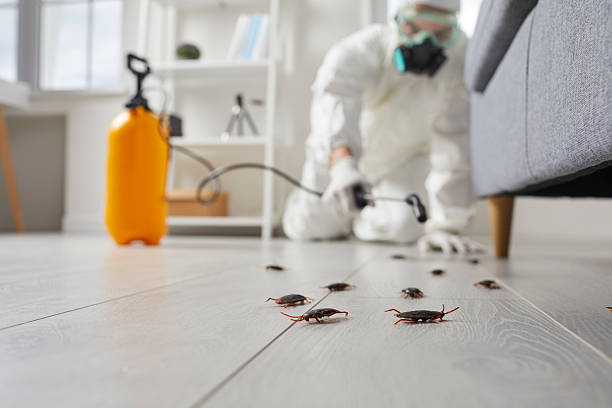 Trusted Mosquito Control service in Oak Ridge, NJ - Nex Pest Control