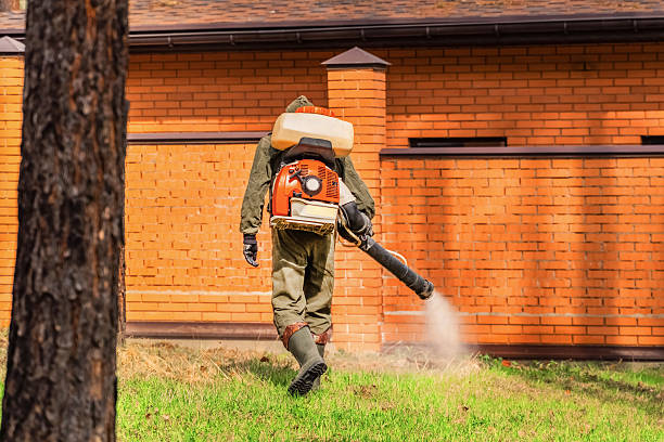 Trusted Ant Control service in Oak Ridge, NJ - Nex Pest Control